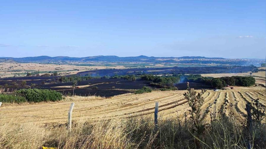 Keşan'da bin 226 dönüm buğday kül oldu