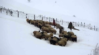 K aylarnda besiciliin zorluklar