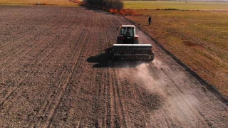 Konya Ovasında 'fare' uyarısı