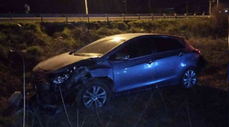 Köpeğe çarpan otomobil şarampole uçtu