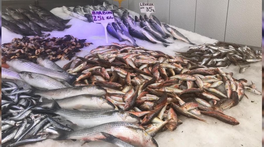 Korona balık fiyatlarını düşürdü