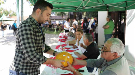 Muğla'da 'En güzel kavun' yarışması