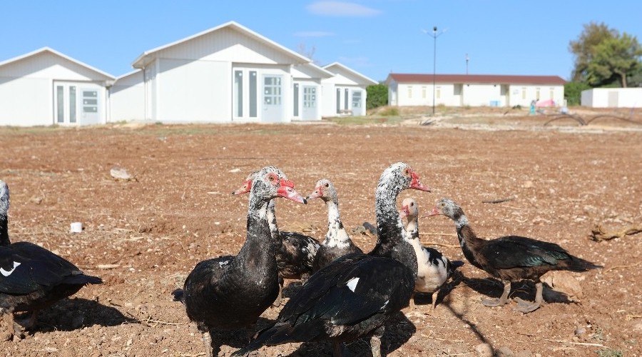 'Mutlu Yaşam Köyü' projesinde sona gelindi