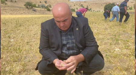 Nohut tarlaları doludan zarar gördü