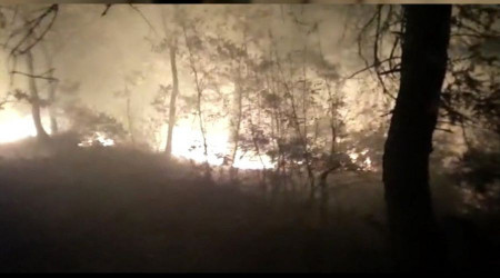 Osmaniye'de orman yangını kontrol altına alındı