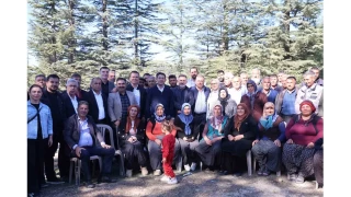 Sedir mantarının geleceği için uyarı: "Her mantar toplanmaz"