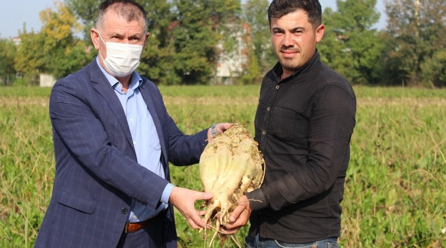 Şeker pancarı üreticileri:'Böyle verim görmedik'