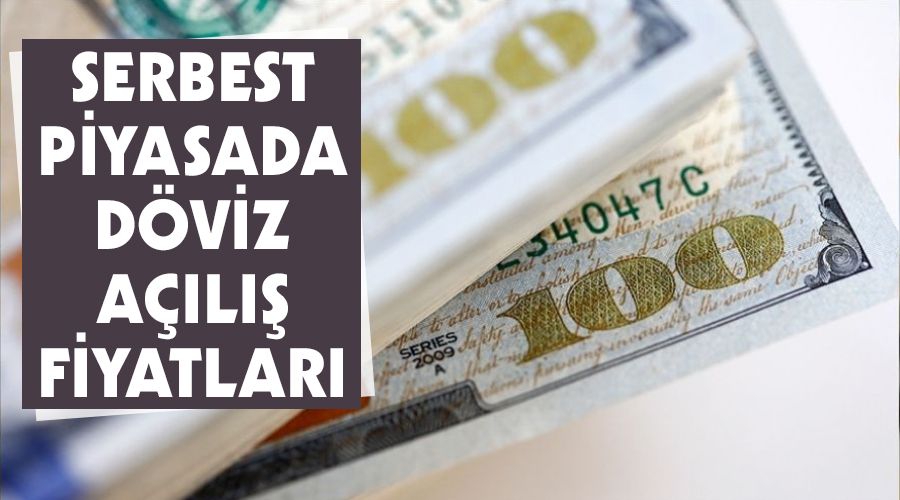 Serbest piyasada döviz açılış fiyatları