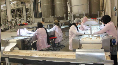 Siirt fıstığı dünya pazarında yerini aldı