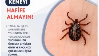 Sivas Valiliği uyardı: Keneyi hafife almayın