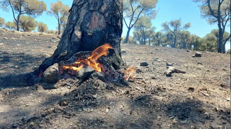 Söndürüldükçe alevleniyor