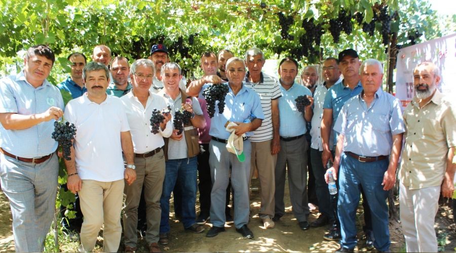 Türk mühendisleri geliştirdi, üretici çok beğendi