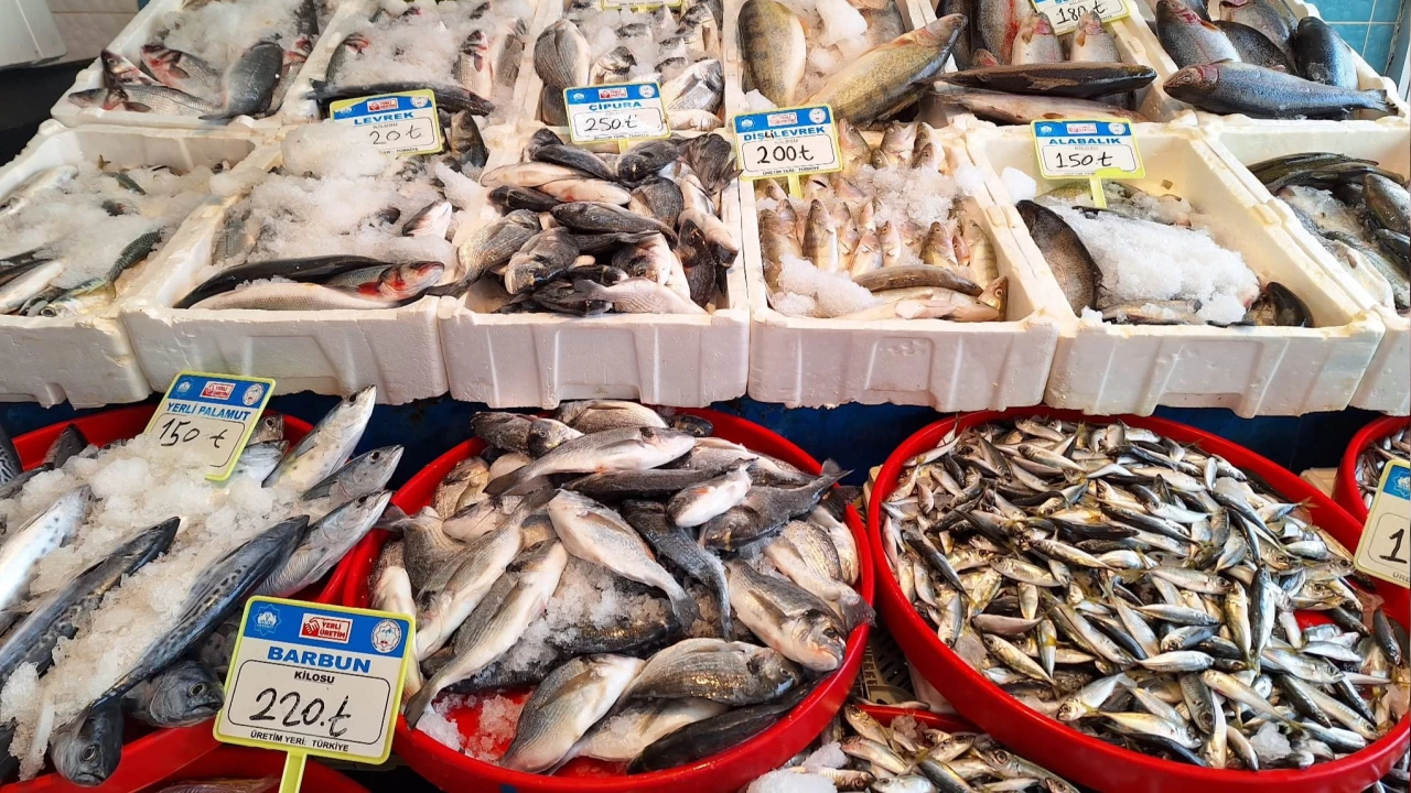 Türkiye balıkları sofraların vazgeçilmezi