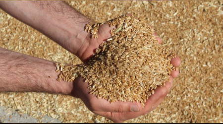 Türkiye'nin Rusya'dan tarım ithalatı hız kesmiyor