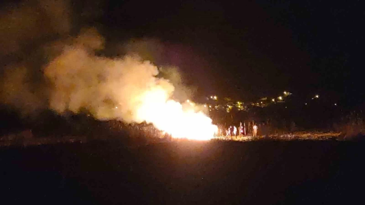 Van'da birçok kuş türüne ev sahipliği yapan sazlık alan yandı
