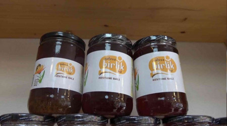 Yalova balı coğrafi işaretle tescillenecek