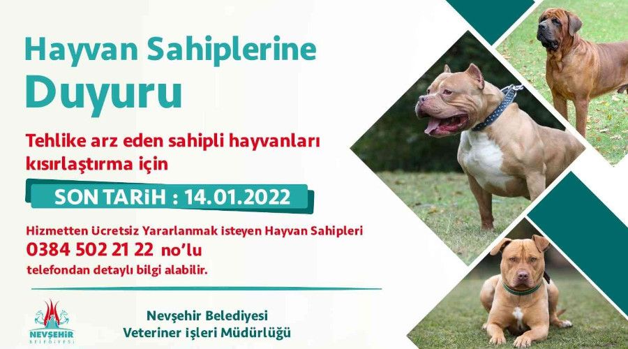 Yasaklı hayvanlar ücretsiz kısırlaştırılacak