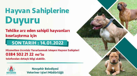 Yasaklı hayvanlar ücretsiz kısırlaştırılacak