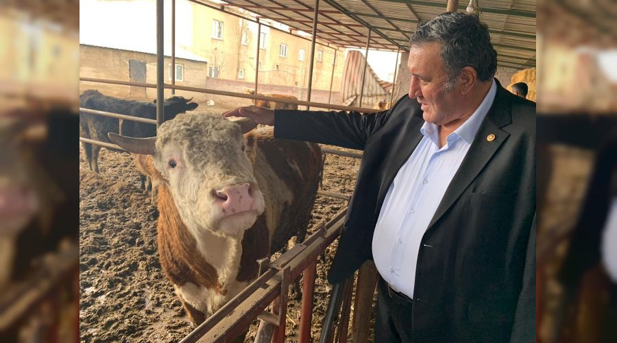 Yem fiyatlarındaki artış hayvancılığı tehdit ediyor