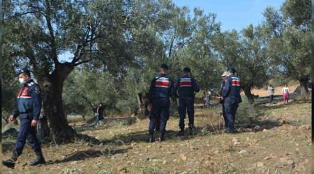 Zeytin hırsızlıklarına karşı tarlada 7/24 denetim