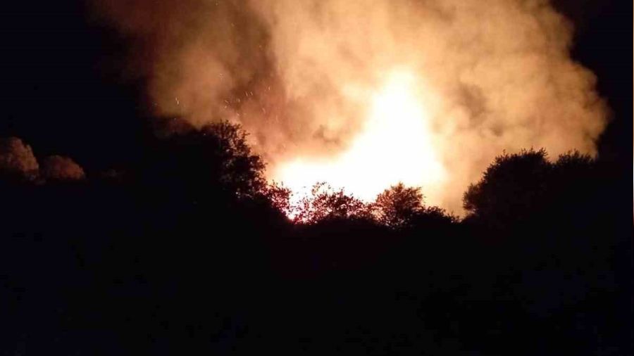 Ağrı'da alevler geceyi aydınlattı