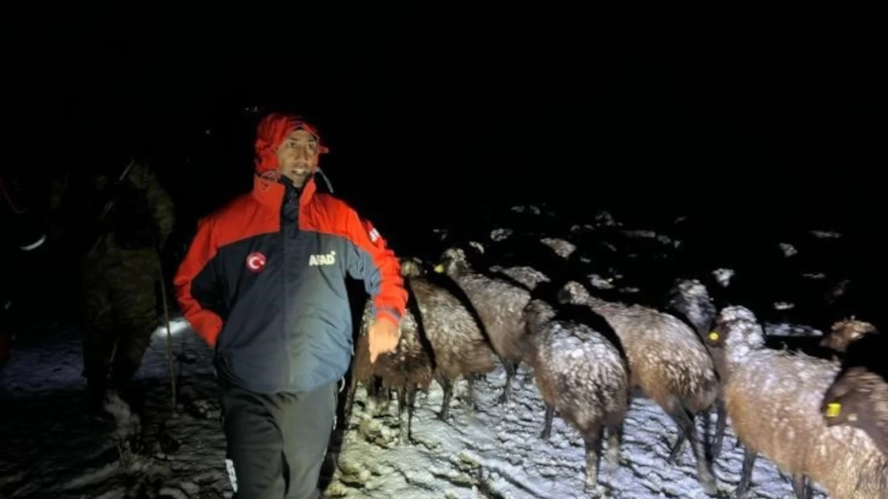 Ağrı'da mahsur kalan 3 çoban ve 3 bin koyun kurtarıldı