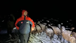 Ağrı'da mahsur kalan 3 çoban ve 3 bin koyun kurtarıldı