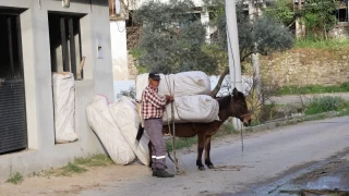 Akaryakıt zamları at, eşek ve katırlara rağbeti arttırdı