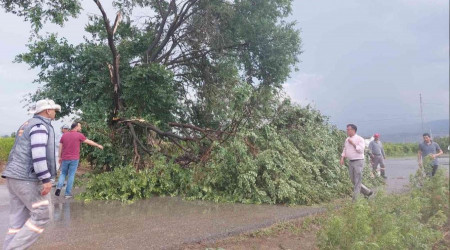 Alaşehir'i fırtına ve dolu vurdu