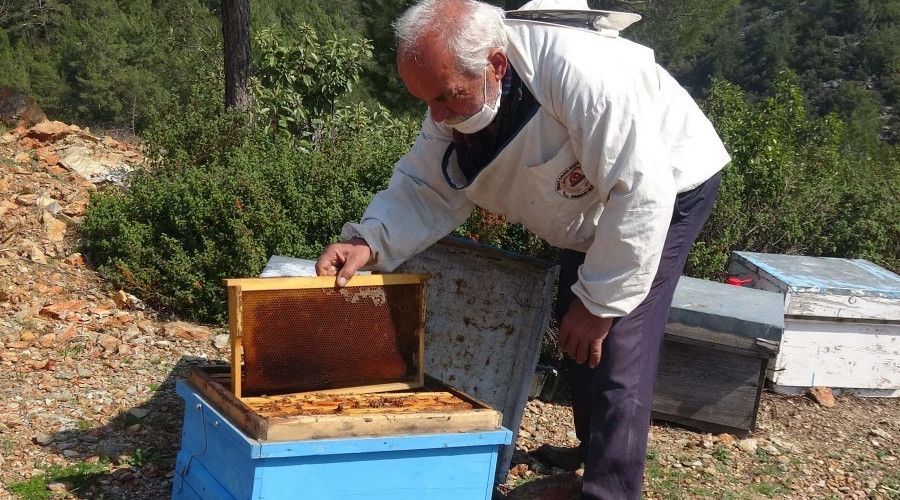 Arı kovanlarına ilaç sıkarken zehirlenip öldü