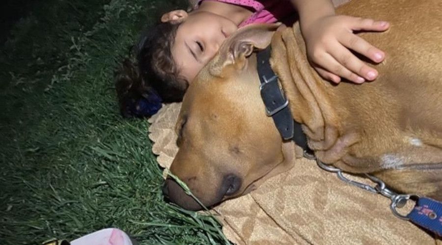 "Asiye'nin normal yaşamına dönmesi 1 yılı bulabilir"