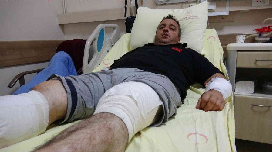 Ayı saldırısından güreşerek kurtuldu