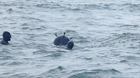 Balıkçıların mayın korkusu sürüyor