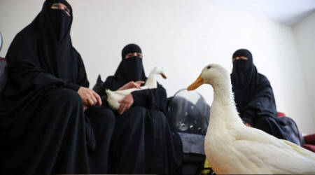 Başakşehir'deki ördek olayının iç yüzü ortaya çıktı