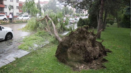 Bolu'da saanak ya hayat fel etti