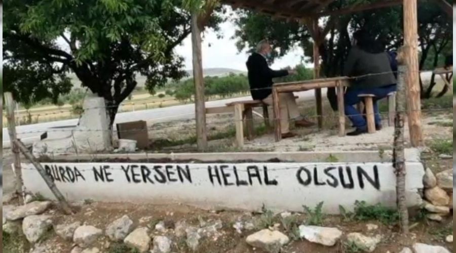 Bu da sebil meyve bahçesi