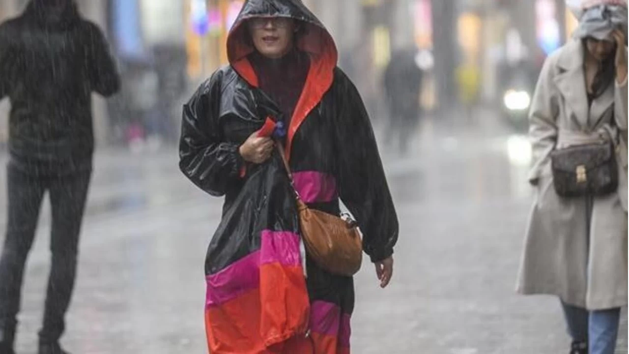 Bu yıl bahar neden gelmedi? Bahar giderek kayboluyor mu?