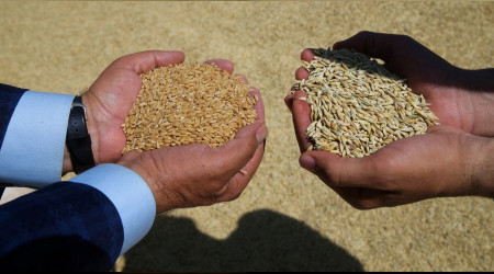 Bu yılın en sarsıcı, en üzücü haberi