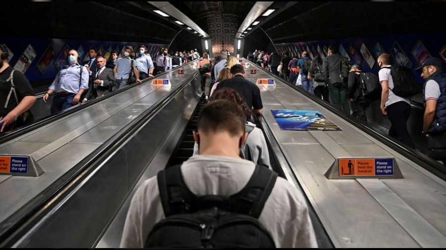 CEO'lar bile işin içinden çıkamıyor