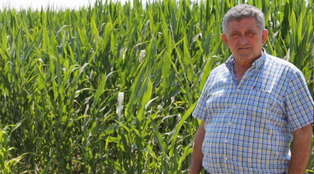 Dünyanın mısırı Yenişehir'de üretiliyor