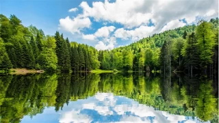 Düzce'nin saklı cenneti: Torkul Gölü ve Yaylası