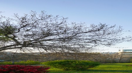 Efsane geri dönüyor