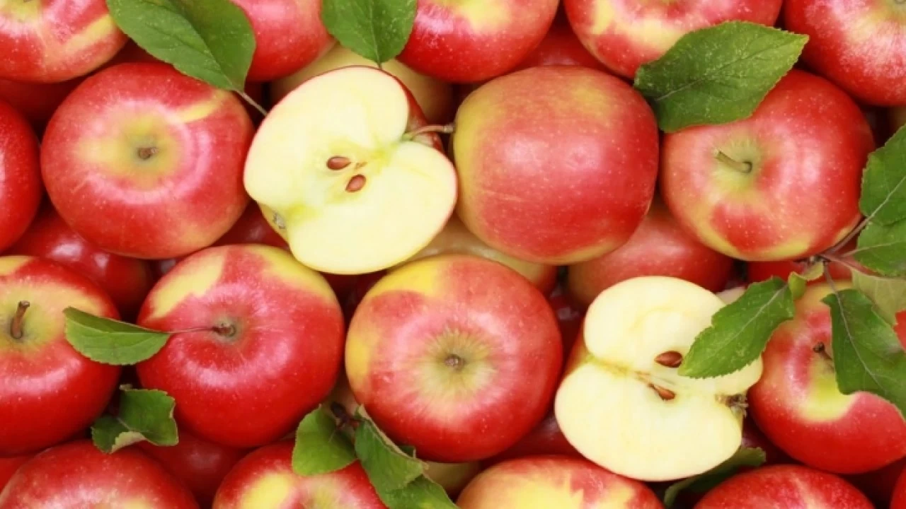 Elmanın üretimi arttırılmalı