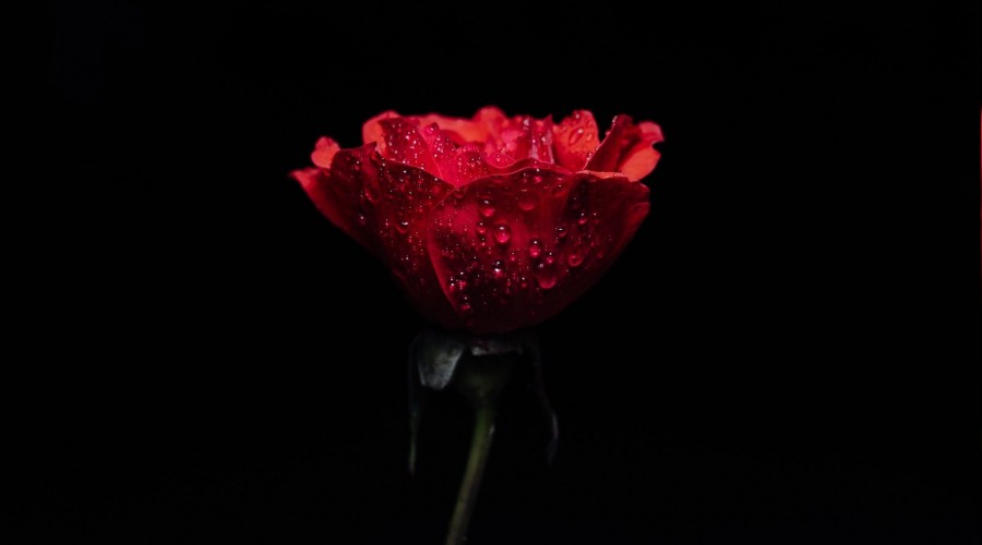 ‘Ey Allah’ın kulları, namaz dindir’