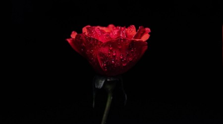 ‘Ey Allah’ın kulları, namaz dindir’