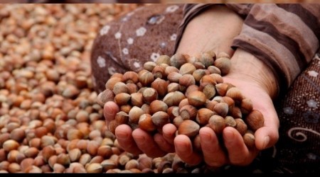 Giresun'un coğrafi işaret tescilli 8 ürünü bulunuyor