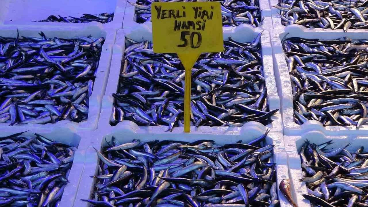 Hamsinin fiyatı yeni yılda geriledi
