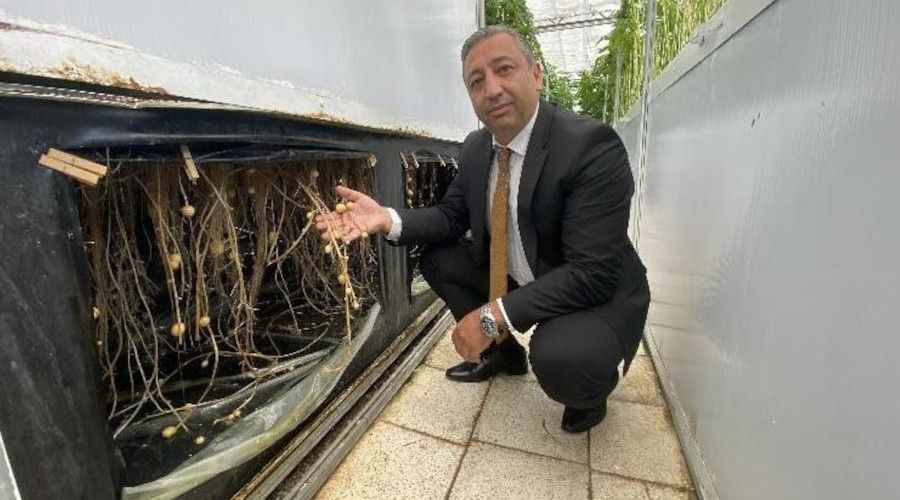 Havada, suda ve karada patates yetişiyor