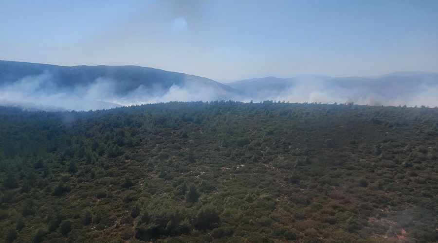 İzmir'de 1 günde 3'üncü yangın
