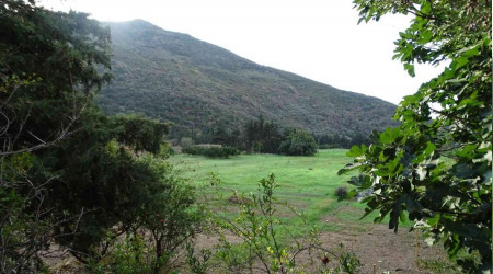 Karaburun'daki biyoçeşitlilik geleceğe taşınacak